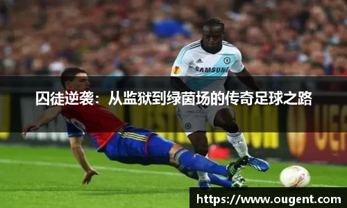 好博体育好