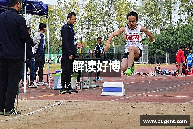 解读好博